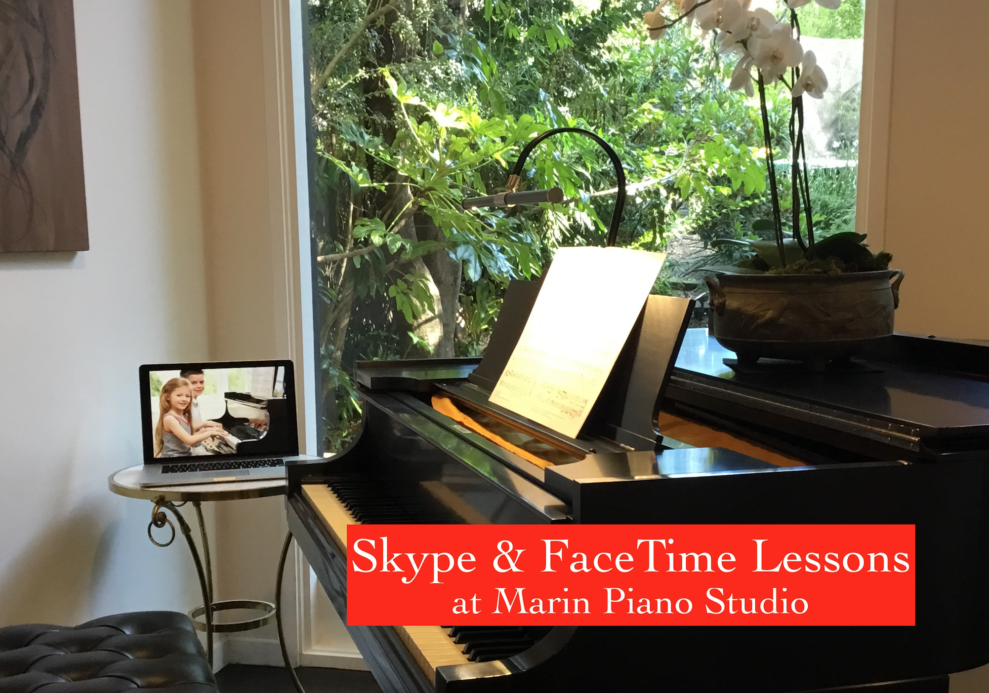 Skype and FaceTime Lessons